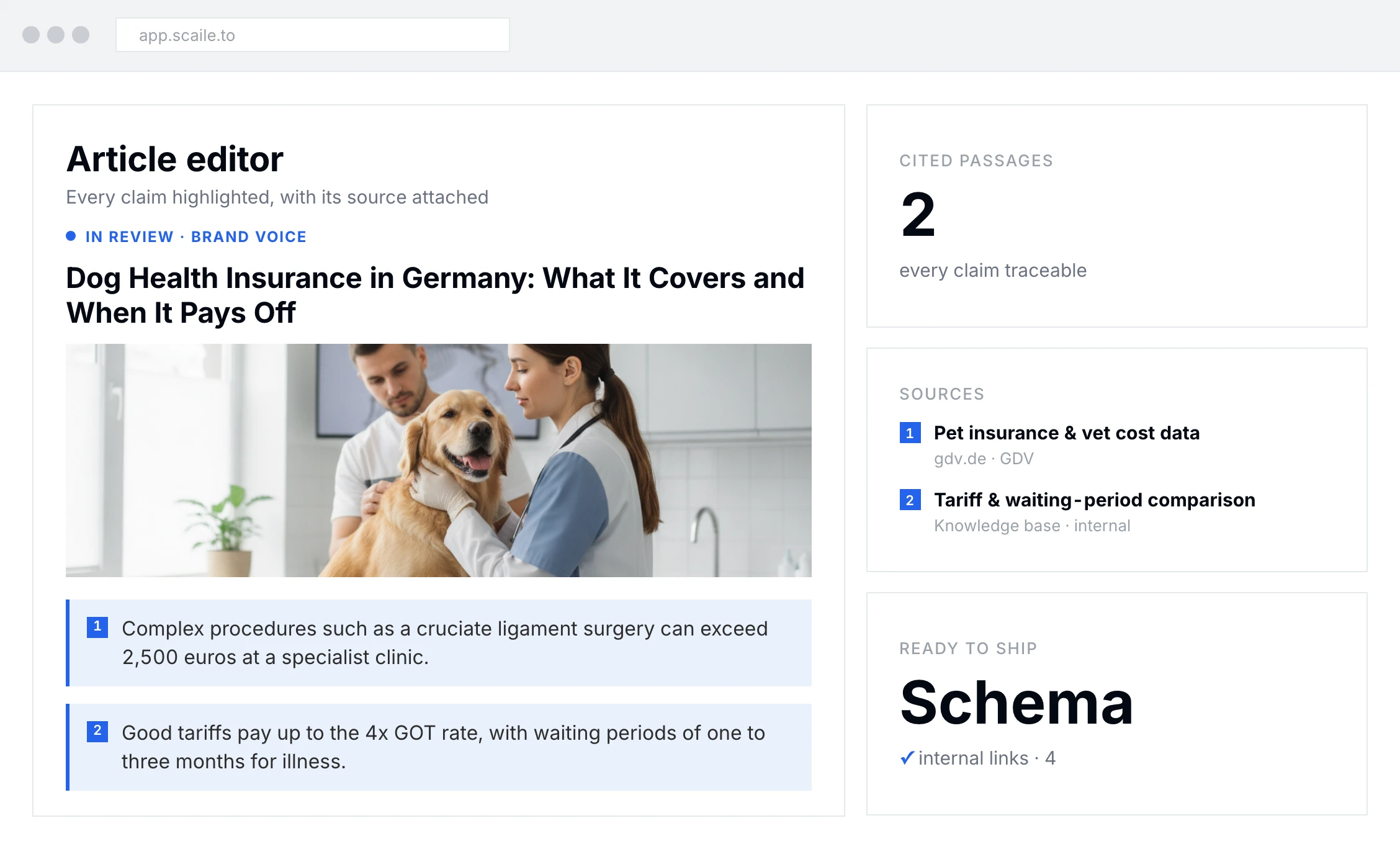 scaile article editor